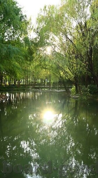 大象传媒登录入口-探索大象传媒的数字门户，解锁精彩内容的新窗口