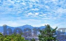 大象小视频路线-探索大象小视频的独特路线，从创新到影响