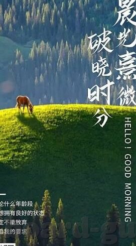 麻豆av二区-窥视网络迷雾，解析麻豆av二区的多维面向