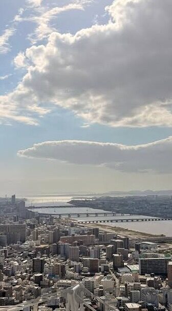 麻豆一级av高清在线-